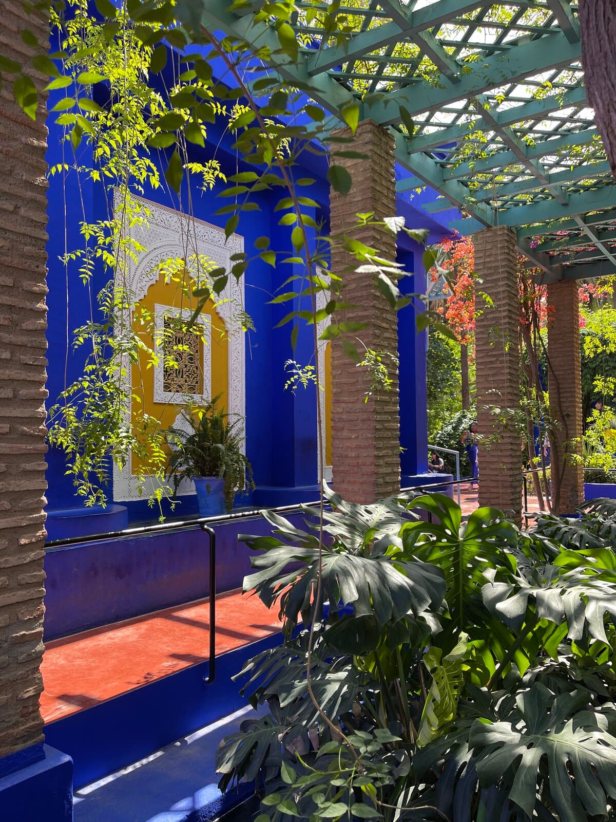 Majorelle Blue building with plants